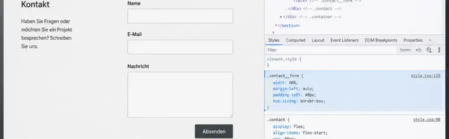 Analyse eines WordPress Plugin Konflikts mit Theme in den Browser-Entwicklerwerkzeugen
